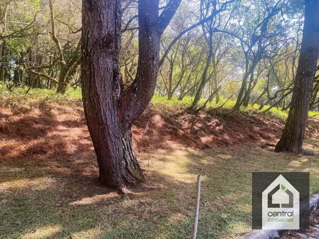Terreno plano en venta en Condominio Premier Campestre, CAES — Terreno en Venta en Premier Campestre, Carretera a El Salvador, Guatemala, Ciudad — foto 13 de 13