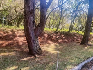 Terreno plano en venta en Condominio Premier Campestre, CAES — Terreno en Venta en Premier Campestre, Carretera a El Salvador, Guatemala, Ciudad — miniatura 13 de 13