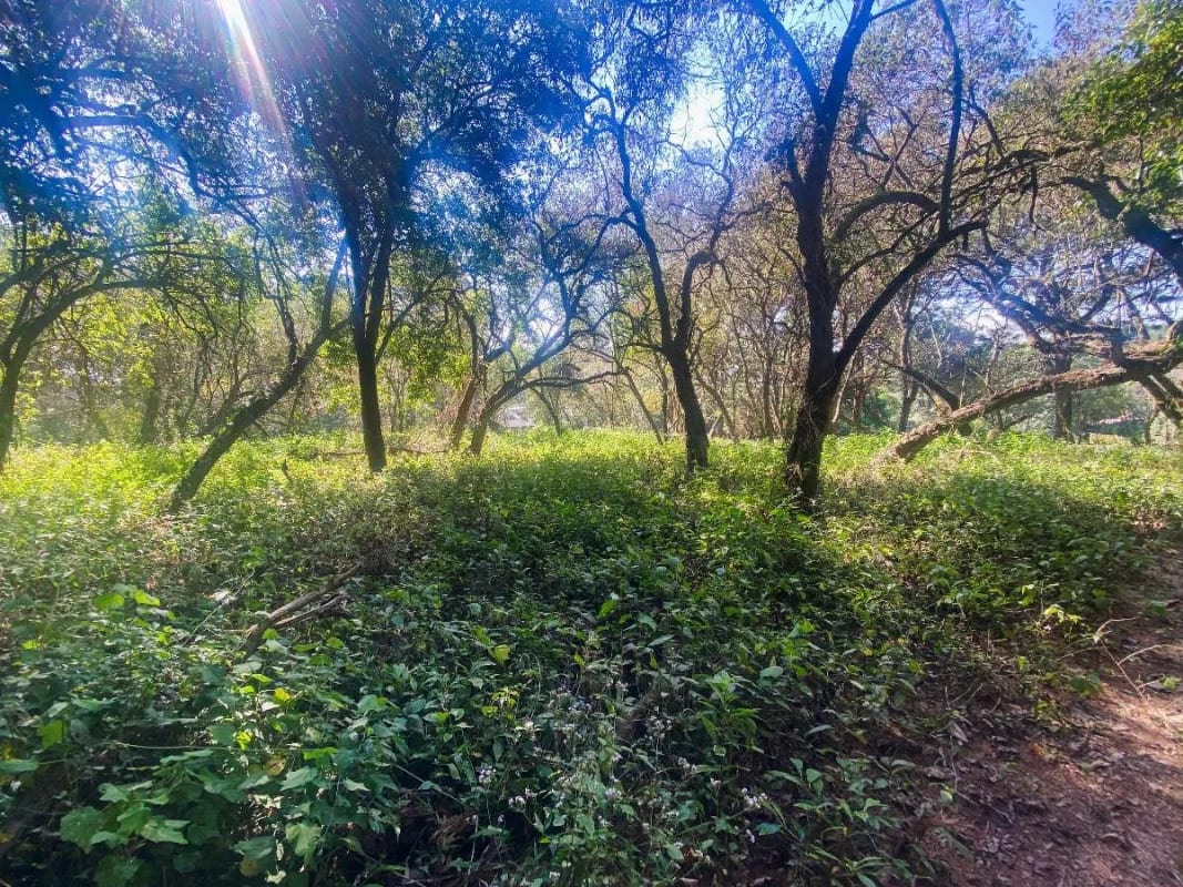 Terreno plano en venta en Condominio Premier Campestre, CAES — Terreno en Venta en Premier Campestre, Carretera a El Salvador, Guatemala, Ciudad — foto 11 de 13