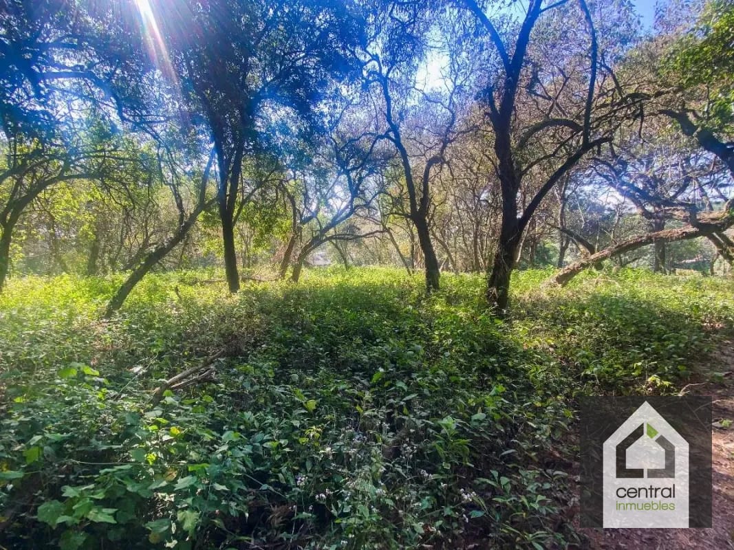Terreno plano en venta en Condominio Premier Campestre, CAES — Terreno en Venta en Premier Campestre, Carretera a El Salvador, Guatemala, Ciudad — foto 11 de 13