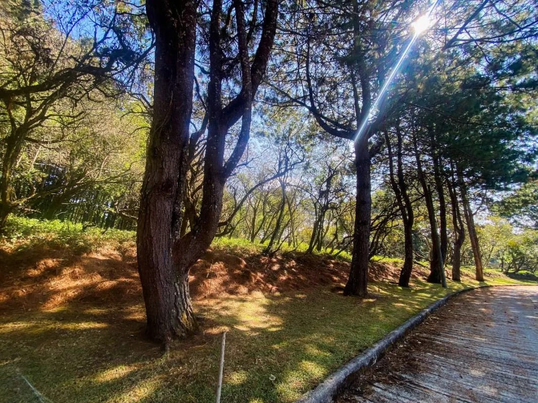 Terreno plano en venta en Condominio Premier Campestre, CAES — Terreno en Venta en Premier Campestre, Carretera a El Salvador, Guatemala, Ciudad — foto 10 de 13
