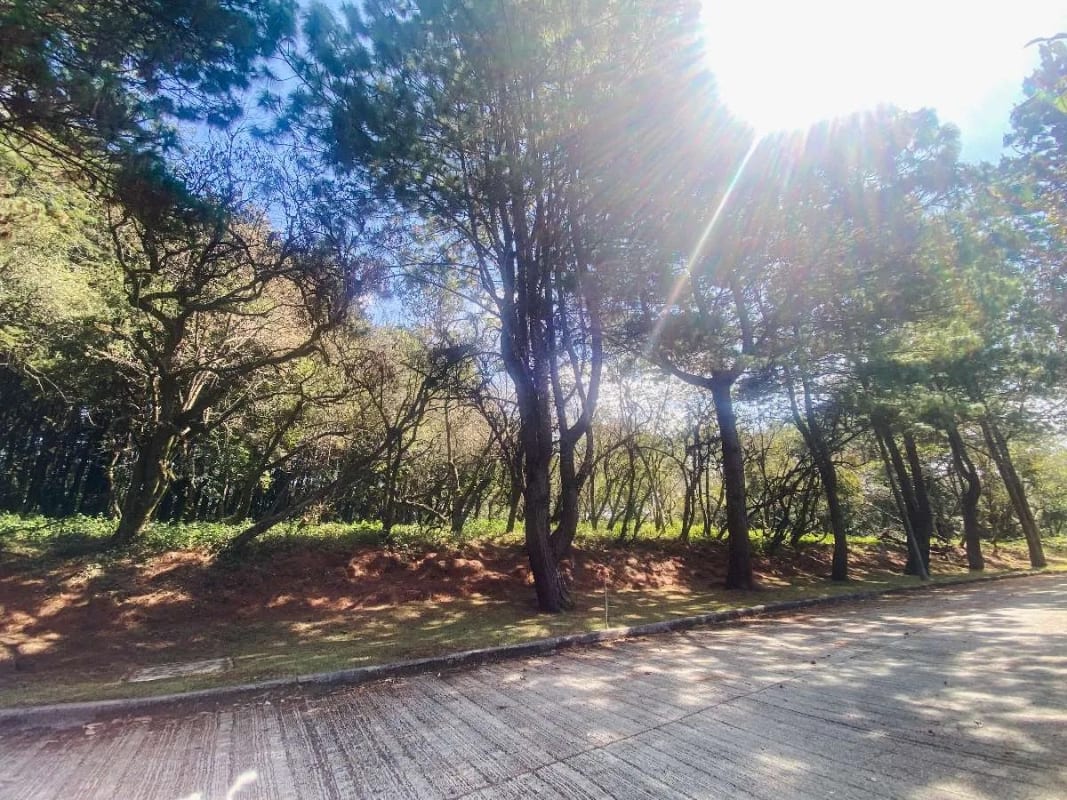 Terreno plano en venta en Condominio Premier Campestre, CAES — Terreno en Venta en Premier Campestre, Carretera a El Salvador, Guatemala, Ciudad — foto 2 de 13