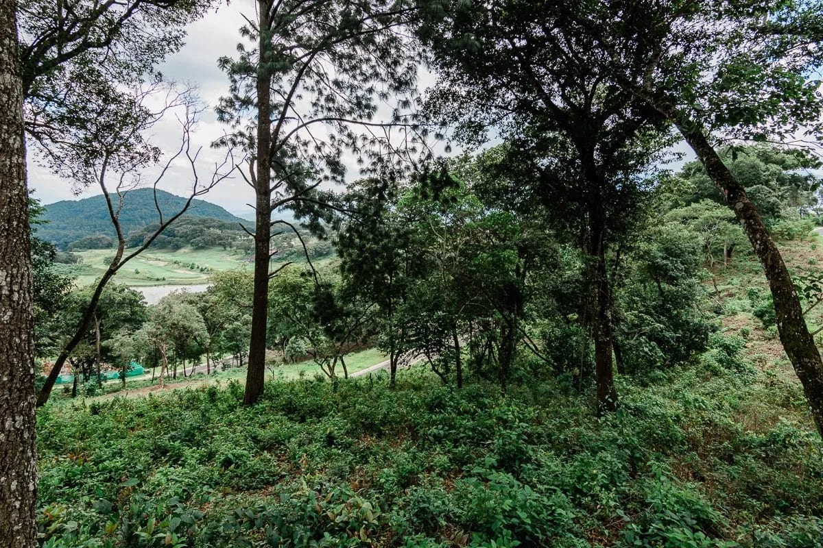 Terreno en venta con vistas premium en El Pulté Golf, zona 16 — Terreno en Venta en El Pulté Golf, Zona 16, Guatemala, Ciudad — foto 9 de 9