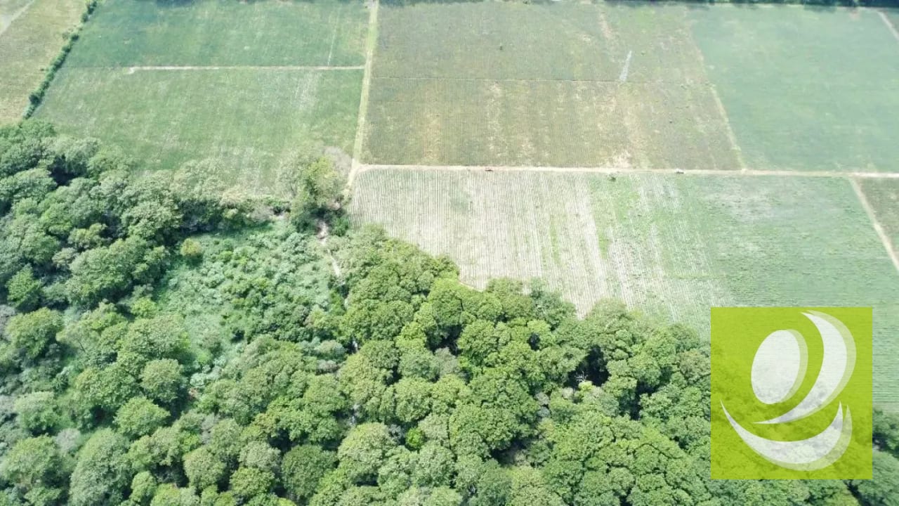 FINCA DE 17 MANZANAS PLANAS EN VENTA EN EL JOCOTILLO — Terreno en Venta en planes de barcenas, Carretera a El Salvador, Guatemala, Ciudad — foto 4 de 5