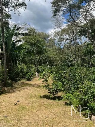 Vendo 65 Manzanas en km 25.5 cruce a santa Elena Barillas — Terreno en Venta en km 21-25, Carretera a El Salvador, Guatemala, Ciudad — miniatura 2 de 3