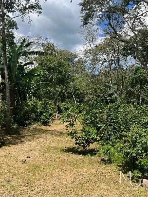 Vendo 65 Manzanas en km 25.5 cruce a santa Elena Barillas — Terreno en Venta en km 21-25, Carretera a El Salvador, Guatemala, Ciudad — foto 2 de 3