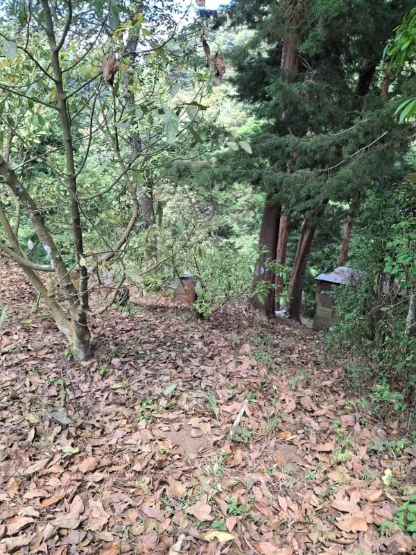 𝐄𝐍 𝐕𝐄𝐍𝐓𝐀 𝐆𝐑𝐀𝐍𝐉𝐀 𝐃𝐄 𝐀𝐆𝐔𝐀𝐂𝐀𝐓𝐄 𝐇𝐀𝐒𝐒 — Terreno en Venta en Santiago Sacatepéquez, Sacatepéquez — foto 4 de 9