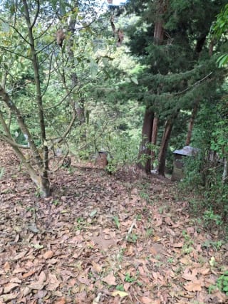 𝐄𝐍 𝐕𝐄𝐍𝐓𝐀 𝐆𝐑𝐀𝐍𝐉𝐀 𝐃𝐄 𝐀𝐆𝐔𝐀𝐂𝐀𝐓𝐄 𝐇𝐀𝐒𝐒 — Terreno en Venta en Santiago Sacatepéquez, Sacatepéquez — miniatura 4 de 9