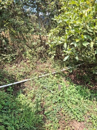 𝐄𝐍 𝐕𝐄𝐍𝐓𝐀 𝐆𝐑𝐀𝐍𝐉𝐀 𝐃𝐄 𝐀𝐆𝐔𝐀𝐂𝐀𝐓𝐄 𝐇𝐀𝐒𝐒 — Terreno en Venta en Santiago Sacatepéquez, Sacatepéquez — miniatura 3 de 9