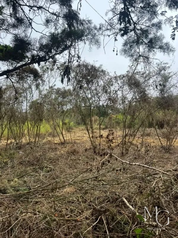 Vendo Terreno en Casa y Campo — Terreno en Venta en Carretera a El Salvador, Guatemala, Ciudad — foto 1 de 1