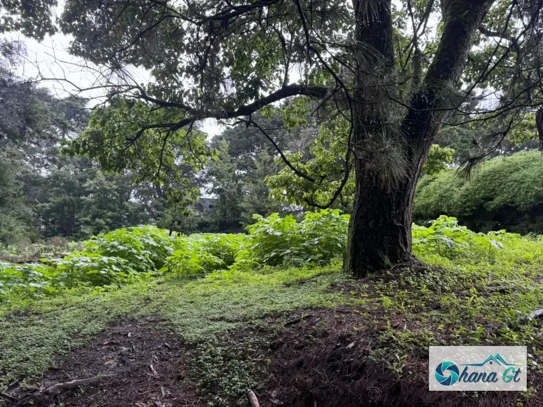 TERRENO EN VENTA KM 16.5 CAES COND. SAN FRANCISCO JAVIER — Terreno en Venta en Carretera a El Salvador, Guatemala, Ciudad — foto 3 de 3