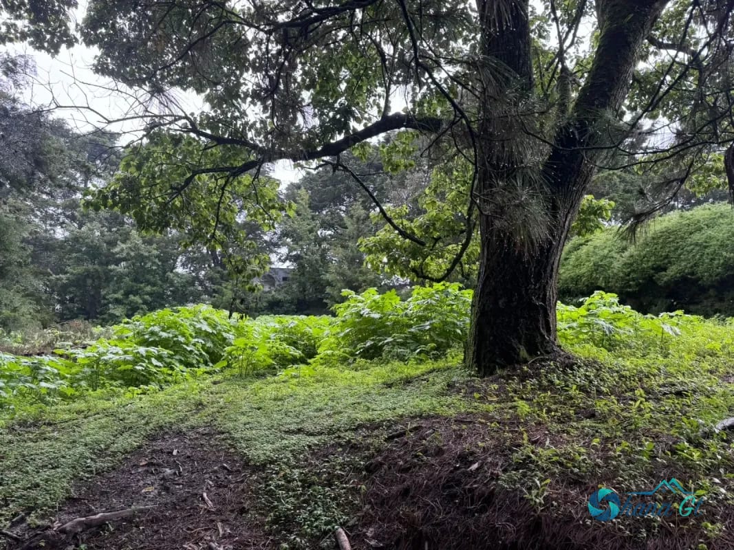 Terreno en Venta KM 16.5 CAES Cond. San Francisco Javier — Terreno en Venta en Carretera a El Salvador, Guatemala, Ciudad — foto 3 de 3