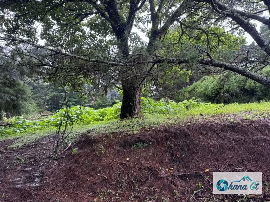 TERRENO EN VENTA KM 16.5 CAES COND. SAN FRANCISCO JAVIER — Terreno en Venta en Carretera a El Salvador, Guatemala, Ciudad — foto 2 de 3