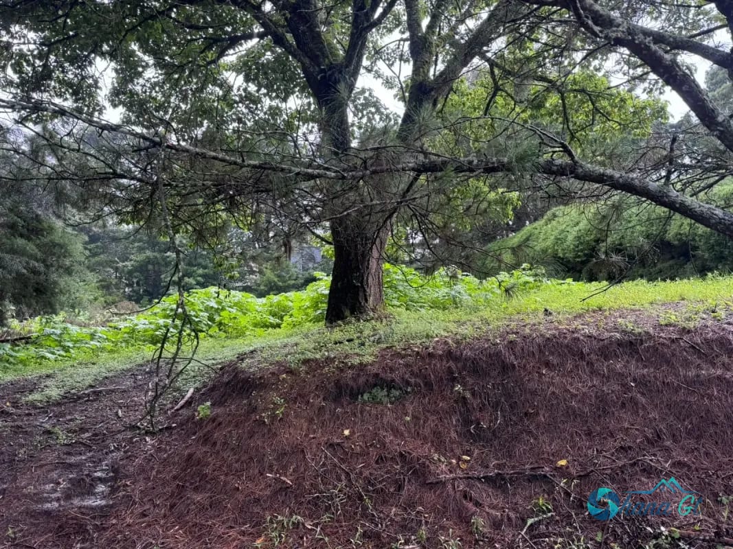 Terreno en Venta KM 16.5 CAES Cond. San Francisco Javier — Terreno en Venta en Carretera a El Salvador, Guatemala, Ciudad — foto 2 de 3