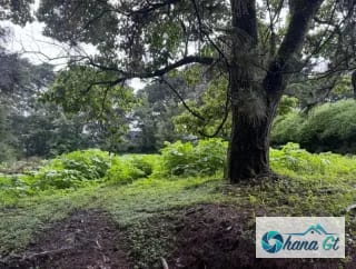 TERRENO EN VENTA KM 16.5 CAES COND. SAN FRANCISCO JAVIER — Terreno en Venta en Carretera a El Salvador, Guatemala, Ciudad — miniatura 1 de 3