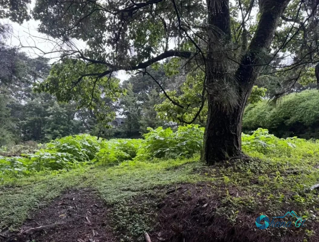 Terreno en Venta KM 16.5 CAES Cond. San Francisco Javier — Terreno en Venta en Carretera a El Salvador, Guatemala, Ciudad — foto 1 de 3