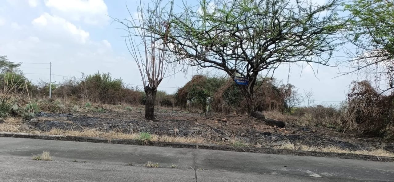 Terreno en Venta KM 77 Via a Puerto Quetzal Quintas la Ponderosa — Terreno en Venta en Quintas La Ponderosa, Escuintla, Escuintla — foto 4 de 5