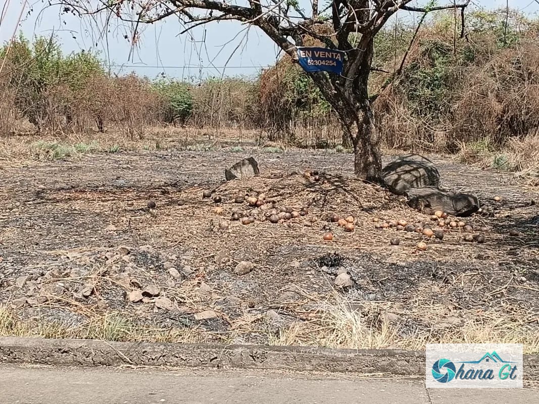 TERRENO EN VENTA KM 77 VIA A PUERTO QUETZAL QUINTAS LA PONDEROSA — Terreno en Venta en Quintas La Ponderosa, Escuintla, Escuintla — foto 1 de 4