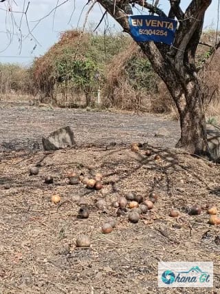 TERRENO EN VENTA KM 77 VIA A PUERTO QUETZAL QUINTAS LA PONDEROSA — Terreno en Venta en Quintas La Ponderosa, Escuintla, Escuintla — miniatura 3 de 4