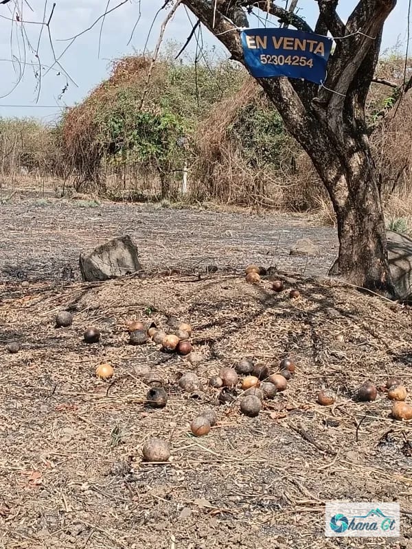 TERRENO EN VENTA KM 77 VIA A PUERTO QUETZAL QUINTAS LA PONDEROSA — Terreno en Venta en Quintas La Ponderosa, Escuintla, Escuintla — foto 3 de 4