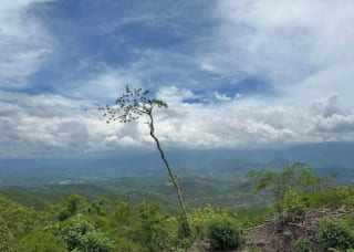 Terreno en VENTA   El Progreso Guastatoya — Terreno en Venta en Guastatoya, El Progreso — miniatura 5 de 5