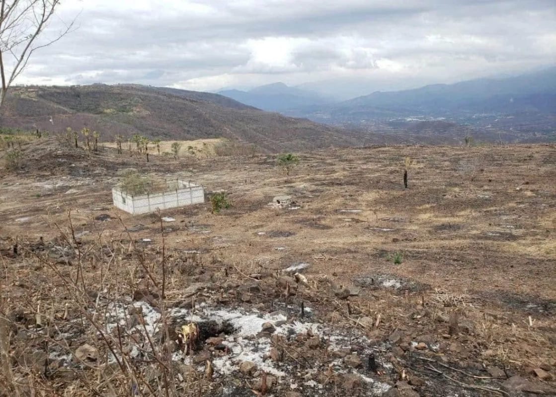 Terreno en VENTA   El Progreso Guastatoya — Terreno en Venta en Guastatoya, El Progreso — foto 3 de 5