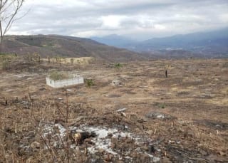 Terreno en VENTA   El Progreso Guastatoya — Terreno en Venta en Guastatoya, El Progreso — miniatura 3 de 5