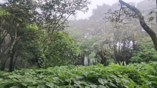 Terreno en venta en Premier Campestre km 23 carretera a El Salvador — Terreno en Venta en Carretera a El Salvador, Guatemala, Ciudad — miniatura 1 de 7