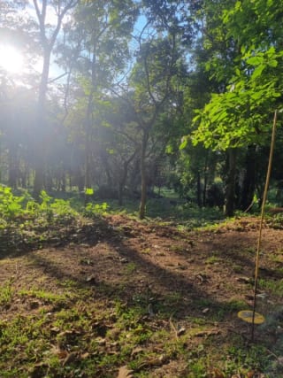 Terreno en venta en Premier Campestre km 23 carretera a El Salvador — Terreno en Venta en Carretera a El Salvador, Guatemala, Ciudad — miniatura 6 de 7