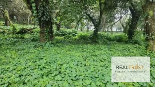 TERRENO EN VENTA PREMIER CAMPESTRE KM 23 CAES — Terreno en Venta en Carretera a El Salvador, Guatemala, Ciudad — miniatura 4 de 7