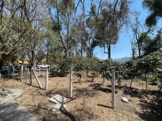 TERRENO ANTIGUA GUATEMALA WALKING DISTANCE AL CASCO IDEAL DESARROLLO DE PLAZA COMERCIAL , CERCA DE LAS RUINAS DE LA RECOLECCIÓN Y CERCA  DEL casco de Antigua Guatemala 2217v2 — Terreno en Venta en Antigua, Sacatepéquez — miniatura 2 de 3