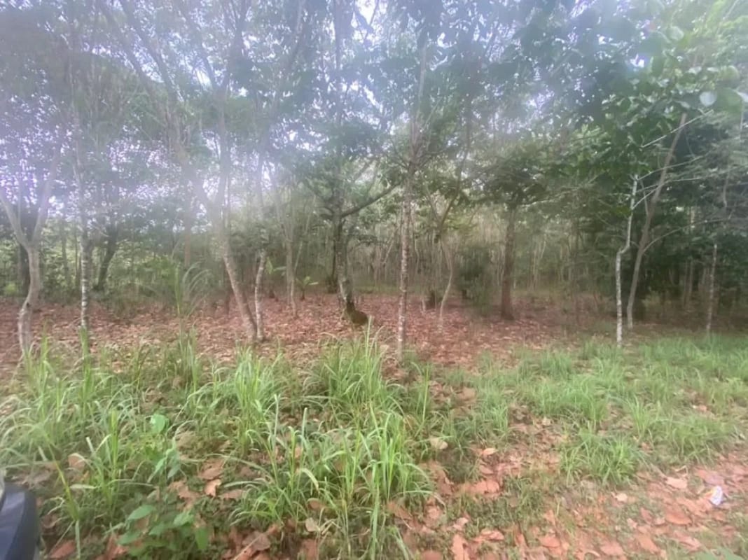Terreno en El Tejar, Chimaltenango — Terreno en Venta en El Tejar, Chimaltenango — foto 1 de 4