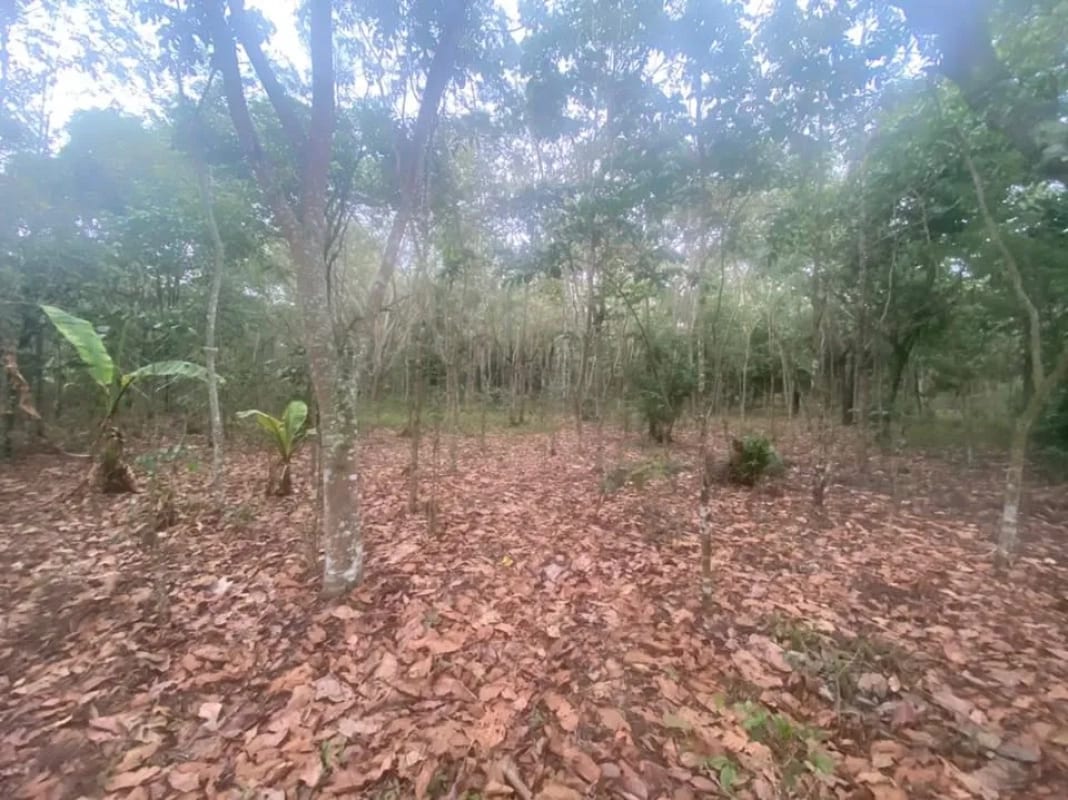 Terreno en El Tejar, Chimaltenango — Terreno en Venta en El Tejar, Chimaltenango — foto 4 de 4