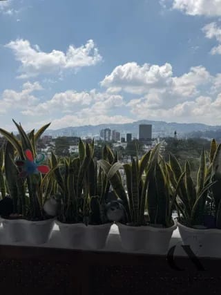 Venta de apartamento en zona 14 Segheria — Apartamento en Venta en Segheria, Zona 14, Guatemala, Ciudad — miniatura 7 de 11