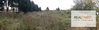 TERRENO EN VENTA UBICADO EN KM 16.5 ENTRADA DE OLMECA — Terreno en Venta en Carretera a El Salvador, Guatemala, Ciudad — miniatura 3 de 5