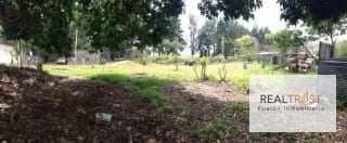 TERRENO EN VENTA UBICADO EN KM 16.5 ENTRADA DE OLMECA — Terreno en Venta en Carretera a El Salvador, Guatemala, Ciudad — miniatura 4 de 5