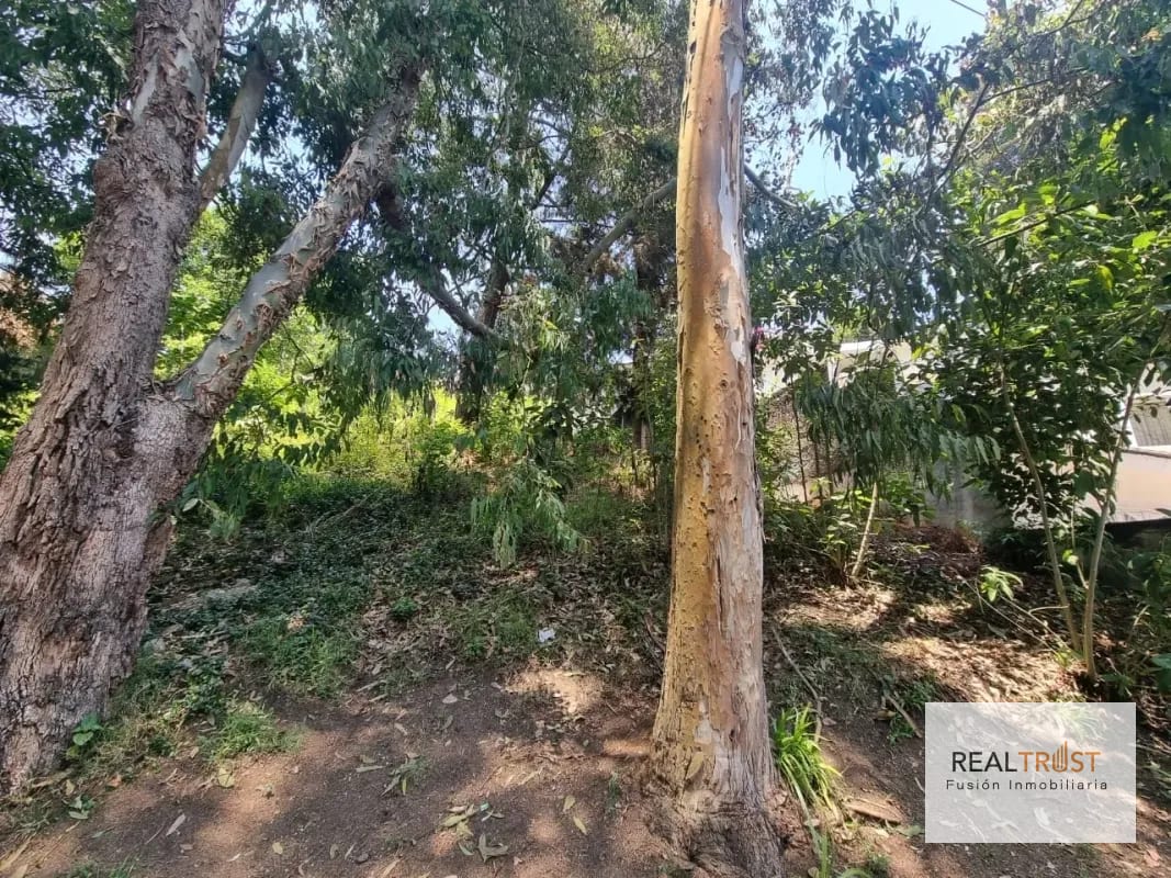 TERRENO EN VENTA SANTA ROSALÍA KM 12.5 CAES - Image 1