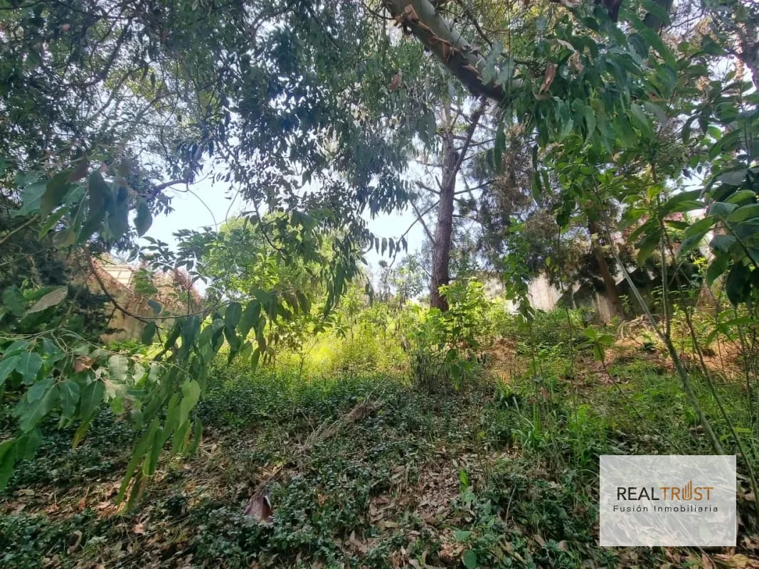 TERRENO EN VENTA SANTA ROSALÍA KM 12.5 CAES - Miniatura 11
