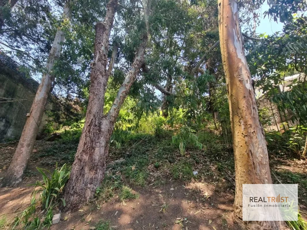 TERRENO EN VENTA SANTA ROSALÍA KM 12.5 CAES - Miniatura 10