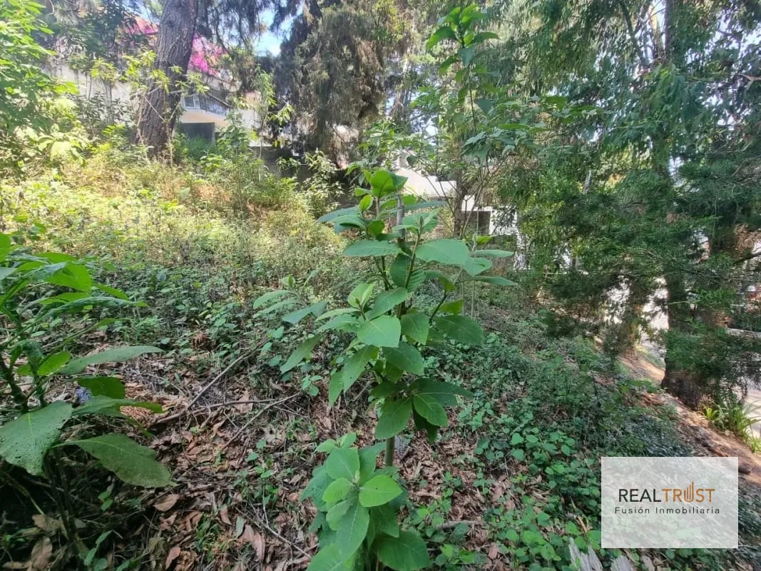 TERRENO EN VENTA SANTA ROSALÍA KM 12.5 CAES — Terreno en Venta en Carretera a El Salvador, Guatemala, Ciudad — foto 9 de 11