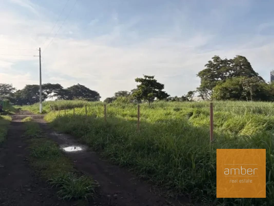 Terreno en Escuintla — Terreno en Venta en Escuintla, Escuintla — foto 5 de 11
