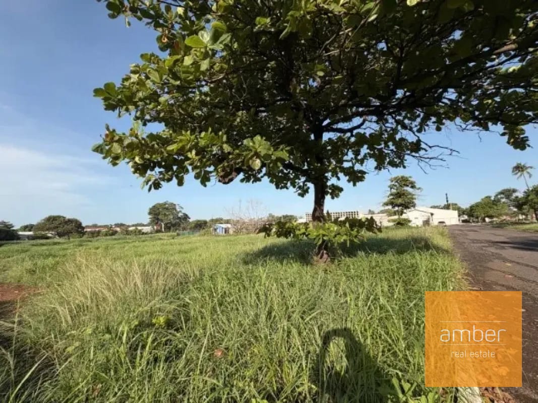 Terreno en venta sobre carretera Antigua a Puerto San José — Terreno en Venta en Escuintla, Escuintla — foto 3 de 6