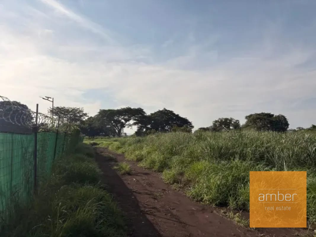 Terreno en venta sobre carretera Antigua a Puerto San José — Terreno en Venta en Escuintla, Escuintla — foto 4 de 6