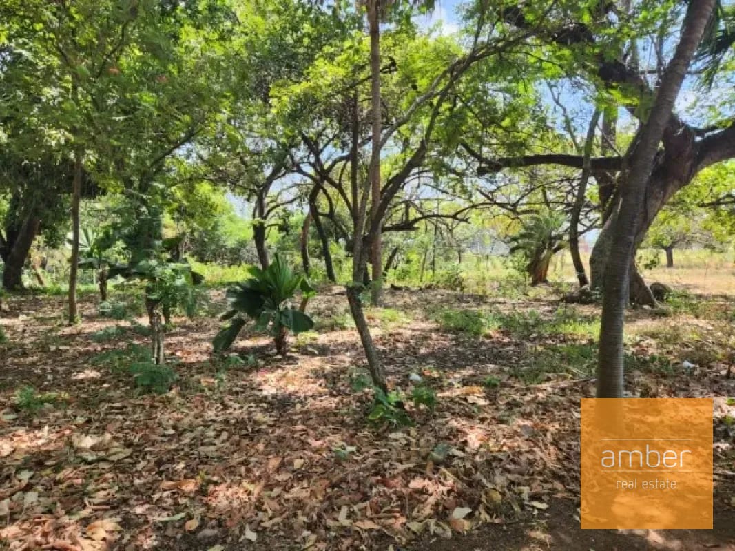 Terreno en venta sobre carretera Antigua a Puerto San José — Terreno en Venta en Escuintla, Escuintla — foto 5 de 6