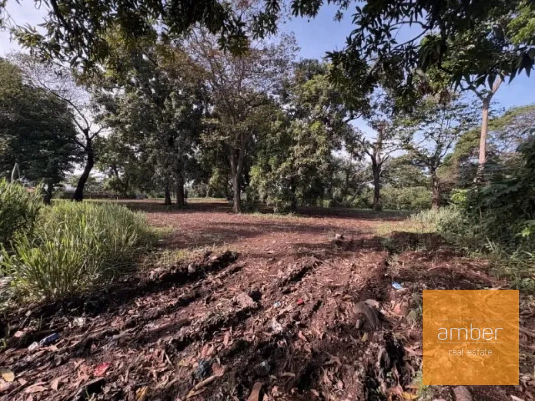 Terreno carretera a El Salto, Escuintla — Terreno en Alquiler en Escuintla, Escuintla — foto 1 de 9
