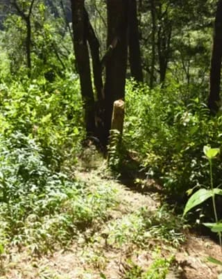 TERRENO DE 7 MANZANAS EN VENTA PIEDRA PARADA, SANTA CATARINA PINULA — Terreno en Venta en Santa Catarina Pinula, Guatemala, Ciudad — miniatura 9 de 10