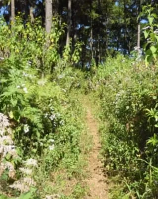 TERRENO DE 7 MANZANAS EN VENTA PIEDRA PARADA, SANTA CATARINA PINULA — Terreno en Venta en Santa Catarina Pinula, Guatemala, Ciudad — miniatura 5 de 10