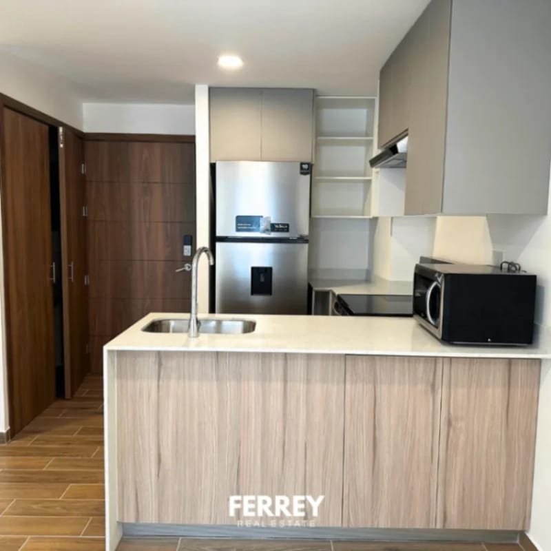 1 habitación en zona 14 — Apartamento en Alquiler en Plenum 14, Zona 14, Guatemala, Ciudad — foto 3 de 10