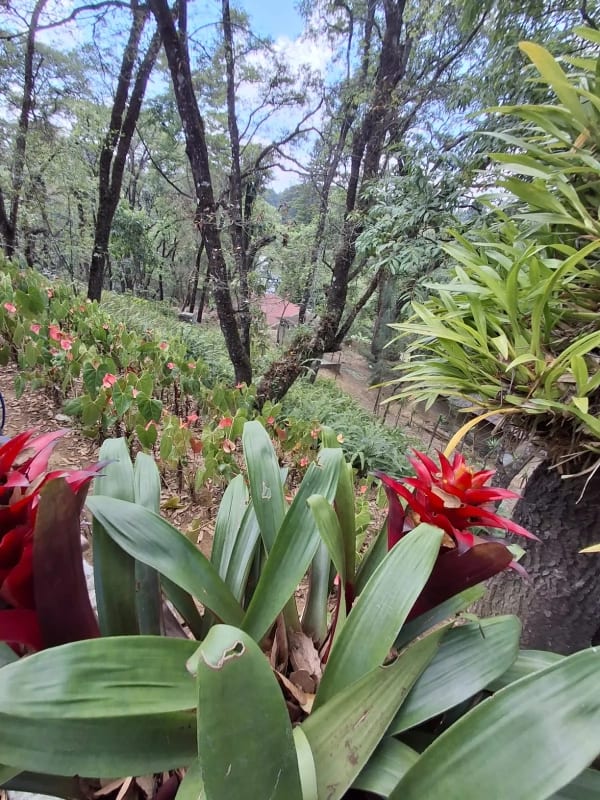 Casa en Venta - Tronco 2  EL ENCINAL Zona 7 Mixco — Casa en Venta en El Encinal, Zona 7 Mixco, Guatemala, Ciudad — foto 3 de 15