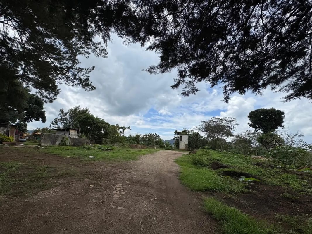 Vendo Terreno 17 Manzanas Fraijanes — Terreno en Venta en Fraijanes, Carretera a El Salvador, Guatemala, Ciudad — foto 6 de 10